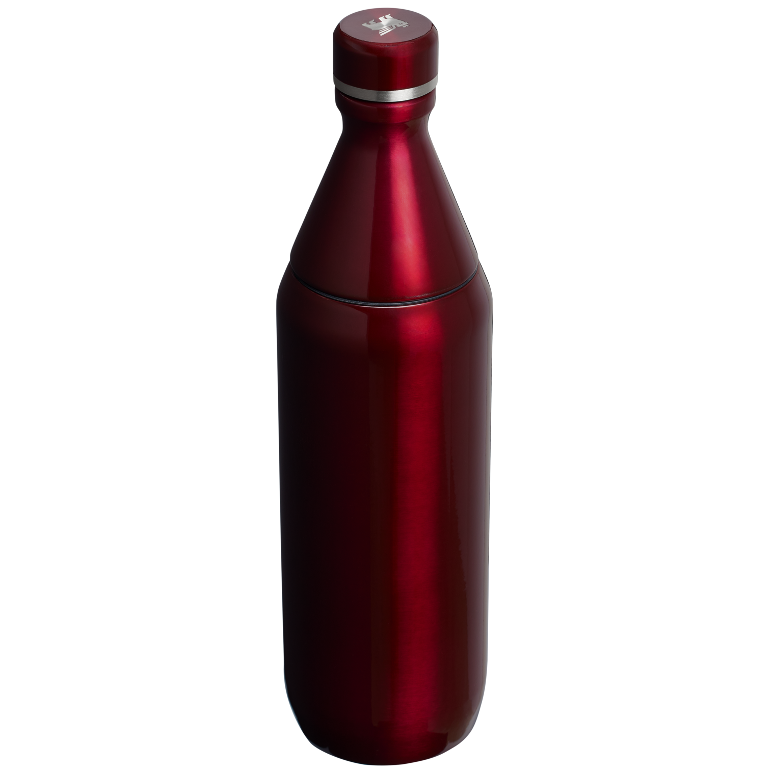 All Day Slim Bottle | 20 Oz - Stanley Create - Image 29
